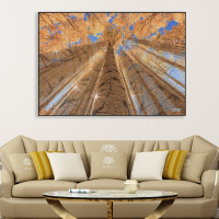 富安娜墙壁画现代简约客厅挂画装饰画客厅沙发背景墙挂画北欧轻奢水木清华