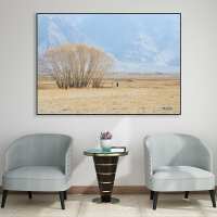 富安娜墙壁画现代简约客厅挂画装饰画客厅沙发背景墙挂画北欧轻奢水木清华