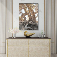 富安娜墙壁画现代简约客厅挂画装饰画客厅沙发背景墙挂画北欧轻奢水木清华