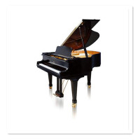 金斯波格(KINGSBURG) YC KG150三角钢琴