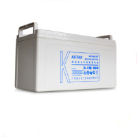 COLORCITY UPS电源蓄电池( 12V100AH)