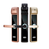 多灵智能门锁 S9(香槟金)