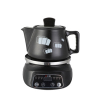 志高 zy3002 多功能电炖药锅 单个装