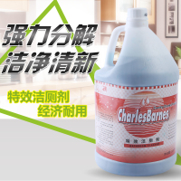 王室(WANGSHI)洁厕液清香型大桶_2瓶装 3.8L/瓶 酒店洁厕灵马桶清洁剂强力洁厕液清香型大桶