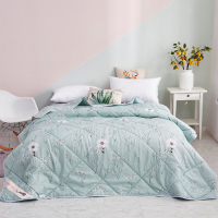 尚采 803礼赞冰丝被180*200cm(七包服务)