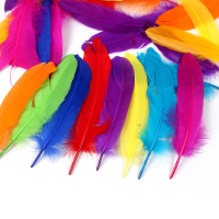 爱克赛 YC 彩色羽毛绒毛(内含3款 彩色羽毛约50个 小刀彩色羽毛50个 大刀彩色羽毛30个)