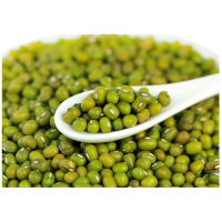 晋唐 50斤/袋绿豆