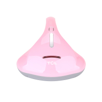 TCL 锐芯除螨仪