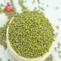 川珍绿豆1kg五谷杂粮粗粮绿豆糕绿豆汤绿豆粥解暑绿豆