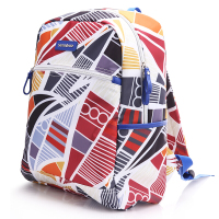 新秀丽(samsonite)印花背包96Q*61001