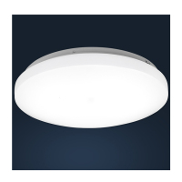 通芯光电 LT9804/XD 22W 吸顶灯(计价单位:个)