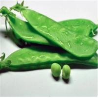 苏众(SU ZHONG) 蔬菜类 荷兰豆