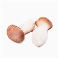 苏众(SU ZHONG) 蔬菜类 杏鲍菇