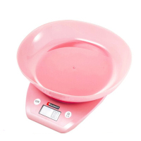 AB 海氏HE-62电子称