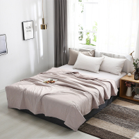 金丝莉(kintheri) 朵朵棉花被 JB-1088 150*200cm