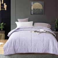 博洋(BEYOND) 简尚石墨烯纤维被