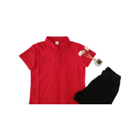 P颠乐护理人员工作服 夏装 HBF-201 (上衣+长裤)