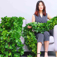 乐寿 仿真藤条假花藤假树叶绿叶植物装饰 10根/包 HD