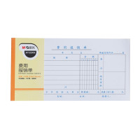 晨光费用报销单APYZGP04