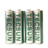 德生(TECSUN) 5号充电电池 1000毫安 4粒装