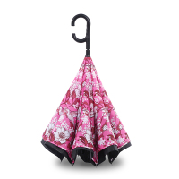 天堂 内花反向伞双层免持式雨伞长柄 清雅时光SCP【把】