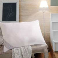 水星家纺 沁新净醛抗菌枕 单个装