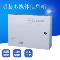 正旗 弱电箱 明装多媒体信息箱300*200*100 光纤入户箱 配电箱