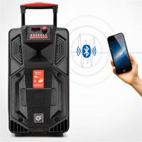 唐朝 YC 1002会议用音响 专业音响设备