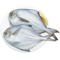 金世尊深海鲳鱼400-500g