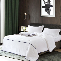 博洋(BEYOND)蚕丝被-瑞贝佧 T41913290201