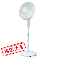 格力(GREE)电风扇FD-4020-WG