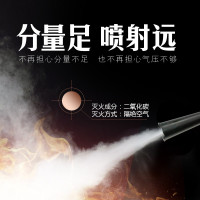AB二氧化碳灭火器套装MT2/3/5/7/24公斤CO2手提式气体灭火器机房精密仪器推车灭火器 2KG二氧化碳灭火器