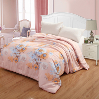 乔治缦菲斯(MANFISI) 皇家御品天丝被 200*230cm 单个装