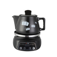 志高 /zy3002 多功能电炖药锅 单个装