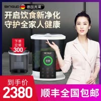 (BINGUO)德国宾果BL1009全智能食品食材清洗机净化器 多功能果蔬清洗机洗菜机消毒机 活氧等离子杀菌