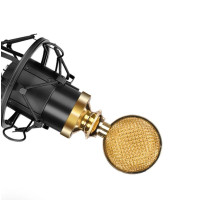 山水 电容录音麦克风 声卡电容麦[CCSM]