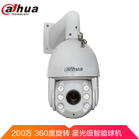 大华 200W红外球 DH-SD6C82FB-GN 高清网络摄像头 TL