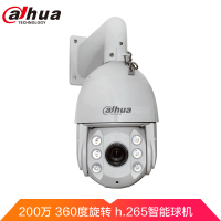 大华 200W星光球 DH-SD6C82FA-GN 高清网络摄像头 TL