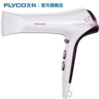 飞科(FLYCO)FH6272电吹风