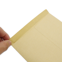 ZL牛皮空白信封 230*120(60个/ 包)