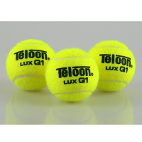 健芬欣天龙802P网球