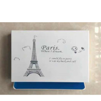 DELSEY机顶盒收纳铁箱35厘米*27厘米*5.5厘米/个