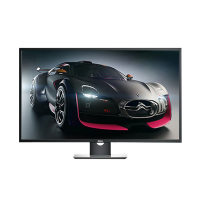 戴尔(DELL)P4317Q 43英寸高清4K电脑显示器(内置音箱 广视角 IPS屏)