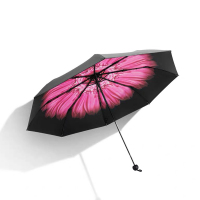 尼诺里拉(NINORIVA)雏菊伞 NYB854