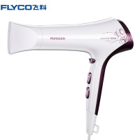 飞科(FLYCO) 电吹风机FH6272