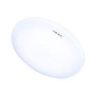 三雄极光PAK417133 LED吸顶灯 柔雅 8W 6500K 声光控 白色