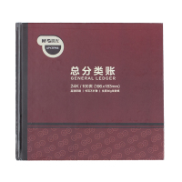 晨光现金日记账本银行存款日记账财务明细账总分类账会计 总分类账 APYZFP05