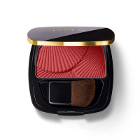 欧莱雅浮雕腮红 04 4.5g