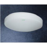 C T5/22W或10-11W LED圆形吸顶灯 无货