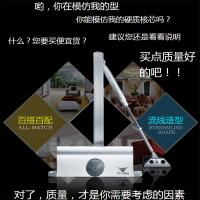 [砳石]飞球牌闭门器FQ-051 自动款